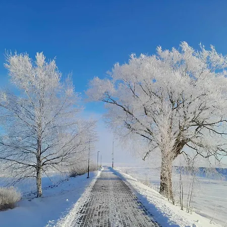 Puhkemaja 무스트베