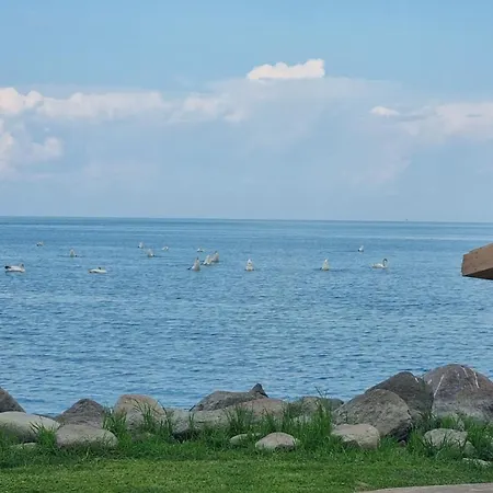 Vakantiehuis Puhkemaja Mustvee